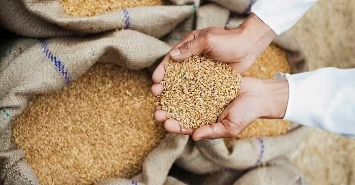 देशांतर्गत ई-लिलावात 1.66 लाख मे. टन गहू, 0.17 लाख मे. टन तांदळाची विक्री