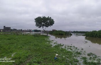 चंद्रपूर: मनपातर्फे फिरते कुंड व निर्माल्य रथाचे आयोजन