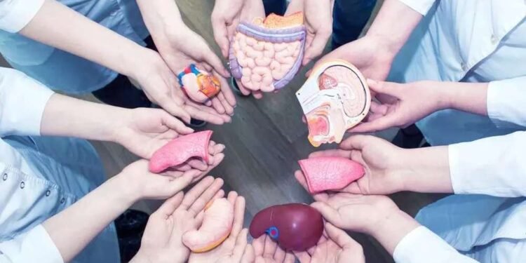 चला तर…मृत्यूनंतरही माणुसकी जिवंत ठेवूया… अवयवदान करूया !