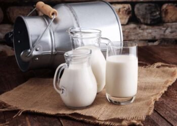 सोलापूर – करमाळ्यातील वास येणारे ८० लिटर दूध नष्ट