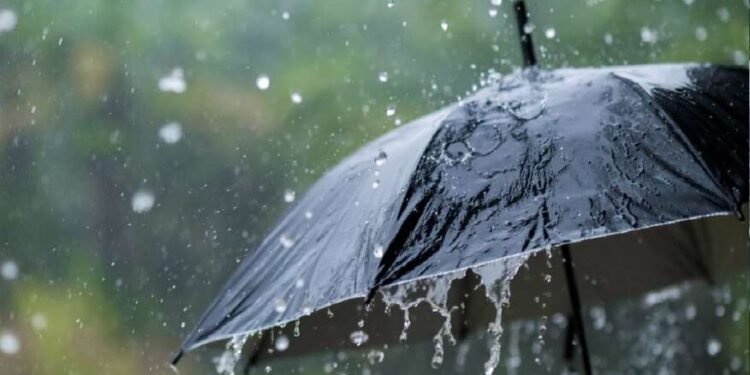 सोलापूर जिल्ह्यात पावसाचे पुनरागमन….