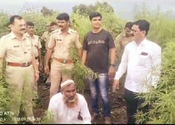 पोलीसांनी टाकलेल्या धाडीत सव्वादोन कोटींचा 23 क्विंटल गांजा जप्त…..