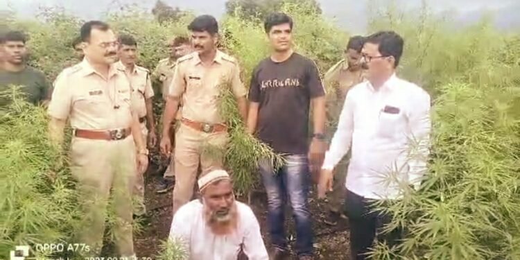 पोलीसांनी टाकलेल्या धाडीत सव्वादोन कोटींचा 23 क्विंटल गांजा जप्त…..