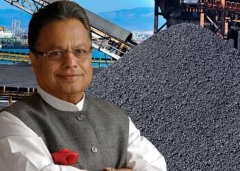 कोळसा घोटाळा : दर्डांसह इतर आरोपींच्या शिक्षेला स्थगिती