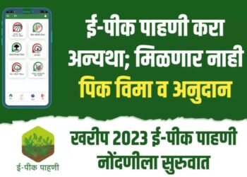 शेतक-यांनी खरीप पिकांची ई-पीक पाहणी अॅपवर नोंद करावी – अंकुश माने