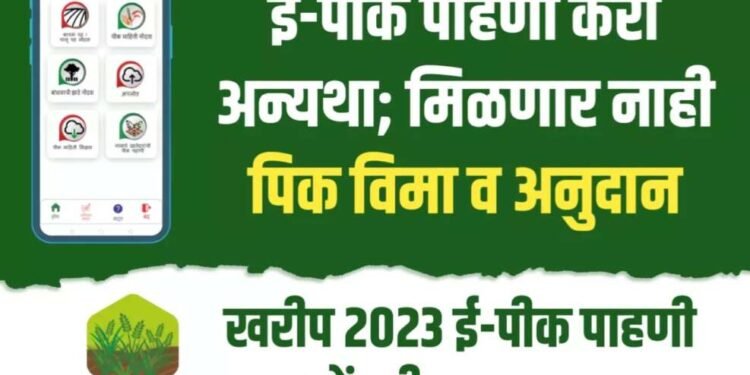 शेतक-यांनी खरीप पिकांची ई-पीक पाहणी अॅपवर नोंद करावी – अंकुश माने