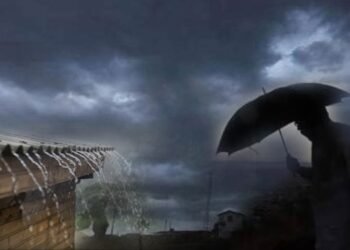 महिन्याभरानंतर पावसाची हजेरी, शेतकऱ्यांचा आनंद गगनात मावेना