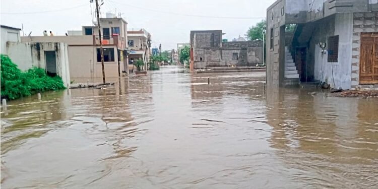 चंद्रपुरात मुसळधार पावसाने जनजीवन विस्कळीत