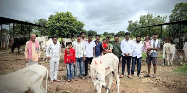 चिमुकल्याच्या वाढदिनी गोशाळेत एक दिवसाचा चारा वाटप