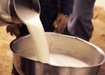 दूधात भेसळ करणाऱ्यांनो सावधान…प्रशासनाची आहे करडी नजर