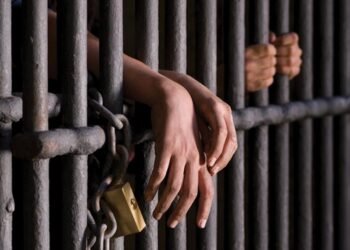 खबरदार ! सण – उत्सवात विघ्न आणाल तर जाणार लॉकअपमध्ये