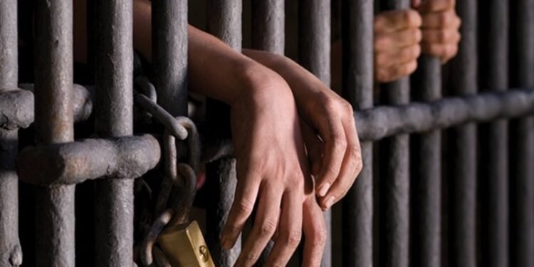 खबरदार ! सण – उत्सवात विघ्न आणाल तर जाणार लॉकअपमध्ये