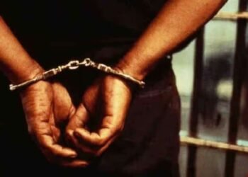 फरार ड्रग्ज माफिया ललित पाटीलला चेन्नईतून अटक, सोमवारपर्यंत पोलीस कोठडी