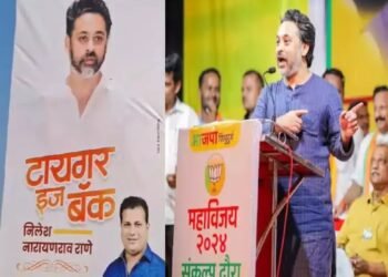 निलेश राणेंची नाराजी दूर, सिंधुदुर्गात जागोजागी पोस्टर, कार्यकर्ते म्हणतात ‘टायगर इज बॅक’