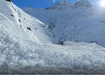 लद्दाख : हिमस्खलनात बेपत्ता जवानांचा शोध सुरू