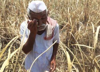 सोलापूरतील एकही तालुका दुष्काळी नाही