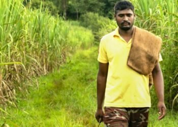 सोलापूर : नुकसानग्रस्त शेतकऱ्यांना मदतीची मागणी