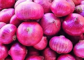 कांद्याच्या दरात तीन दिवसांत दुपटीने वाढ….