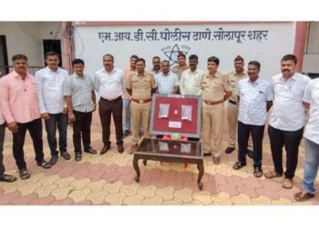 सोलापुरात तरूणाकडे सापडल्या २ बंदूक