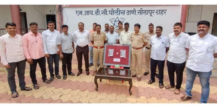 सोलापुरात तरूणाकडे सापडल्या २ बंदूक