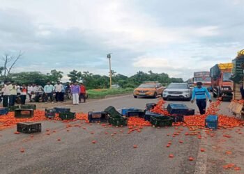 पुणे- सोलापूर महामार्गावर टोमॅटो फेकून आंदोलन