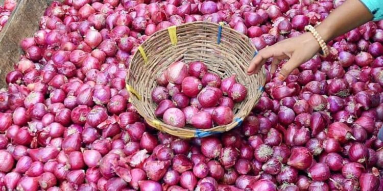 सोलापुरात कांद्याच्या दरात वाढ, शेतकऱ्यांना दिलासा