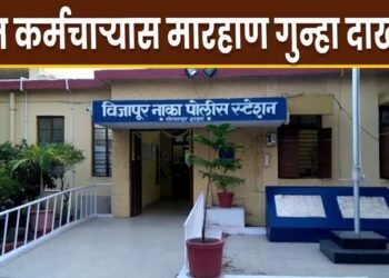 सोलापुरात वीज कर्मचाऱ्याला मारहाण; एकावर गुन्हा दाखल