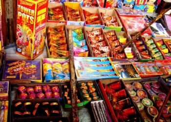 बेरिअम फटाक्यांवर देशभरात बंदी; दिल्लीचा श्वास कोंडणाऱ्या शेजारी राज्यांनाही सर्वोच्च न्यायालयाने खडसावलं