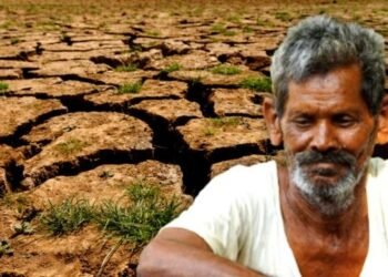 सोलापूर जिल्ह्यातील आणखी 46 मंडळामध्ये दुष्काळ जाहीर