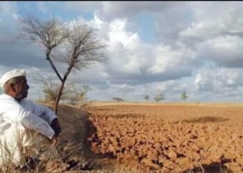 दुष्काळी अहवाल सोलापूर जिल्हाधिकाऱ्यांकडे सादर