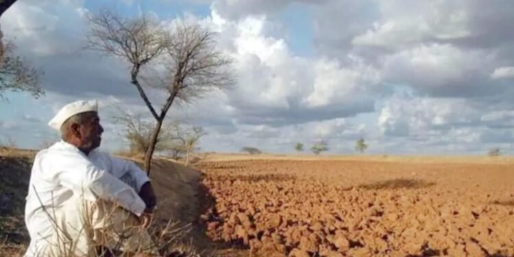 दुष्काळी अहवाल सोलापूर जिल्हाधिकाऱ्यांकडे सादर