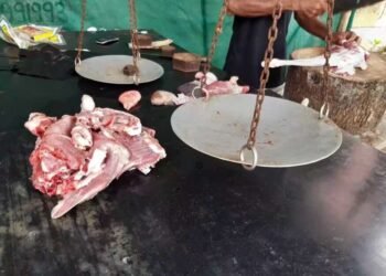 दिल्लीत धार्मिक स्थळांजवळ मांस विक्रीस बंदी