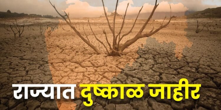 राज्यात ४० तालुक्यांत दुष्काळ जाहीर, पुण्यातील ५ तालुक्यांचा समावेश, मदतीसाठी केंद्राला विनंती