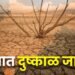राज्यात ४० तालुक्यांत दुष्काळ जाहीर, पुण्यातील ५ तालुक्यांचा समावेश, मदतीसाठी केंद्राला विनंती
