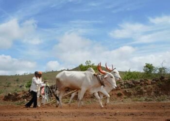 बीड जिल्ह्यातील 7.70 लाख शेतकऱ्यांना मिळणार अग्रीम पीकविमा!