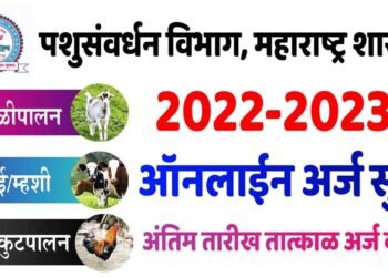 पशुसंवर्धन विभागाच्या वतीने 15 दिवसाचे कुक्कुट पालन प्रशिक्षणासाठी अर्ज करावेत