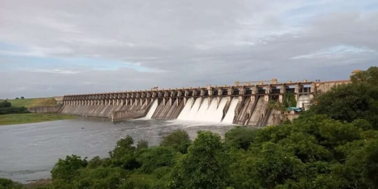 सोलापूरात शेतीसाठी पहिले आवर्तन १४ डिसेंबरपर्यंत