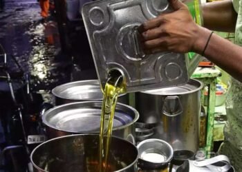 महागाईपासून आणखी मोठा दिलासा! खाद्यतेलासंदर्भात सरकारचा निर्णय; आता चमचमीत खा अन् मस्त राहा!