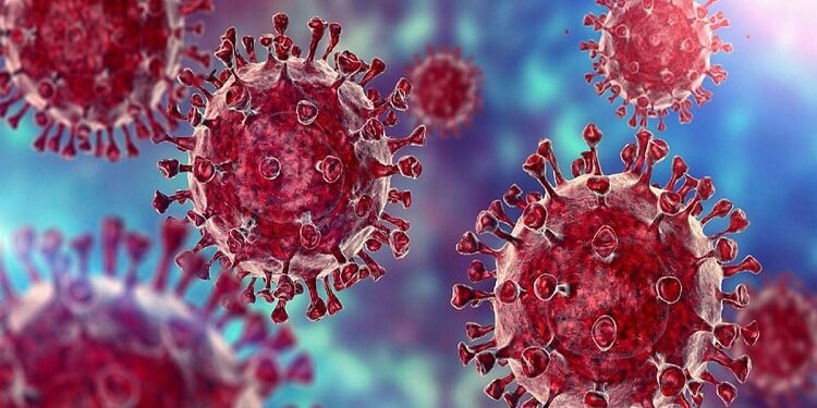 सोलापूर शहरात नव्याने कोविड बाधित 6 रुग्णांची नोंद झाली.