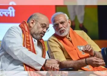 २०२४ मध्ये भाजप सत्तेत; आधी मोदी, मग शहा PM होतील; मोदी सरकारला नडलेल्या नेत्याची भविष्यवाणी