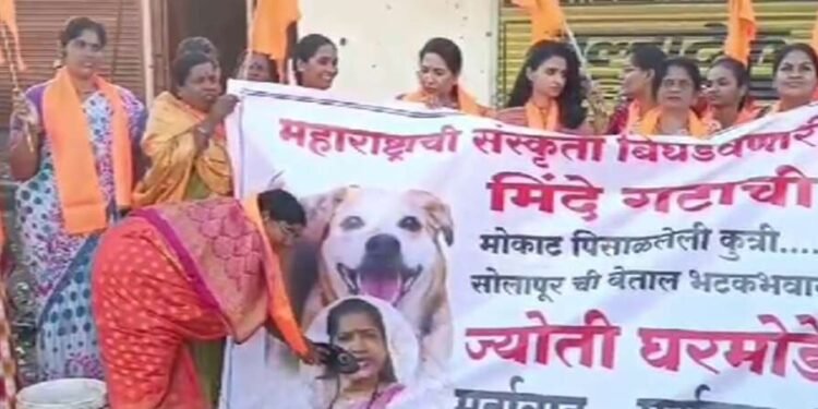 ज्योती वाघमारे यांना पिसाळलेल्या मोकाट कुत्र्याची उपमा देत त्यांच्या फोटोला काळे फासले