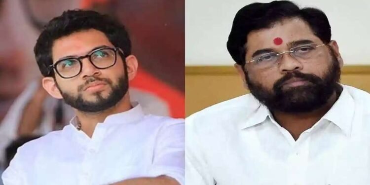 मला फोन करून बीच सफाई कशी करतात हे विचारायला पाहिजे होतं, आदित्य ठाकरेंनी मुख्यमंत्र्यांची खिल्ली उडवली