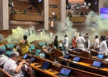 नवीन संसद भवनातील गॅलरी रचनेत त्रुटी? सहा फुटांचे अंतर अपुरे असल्याचा दावा, सुरक्षारक्षकांचाही अभाव