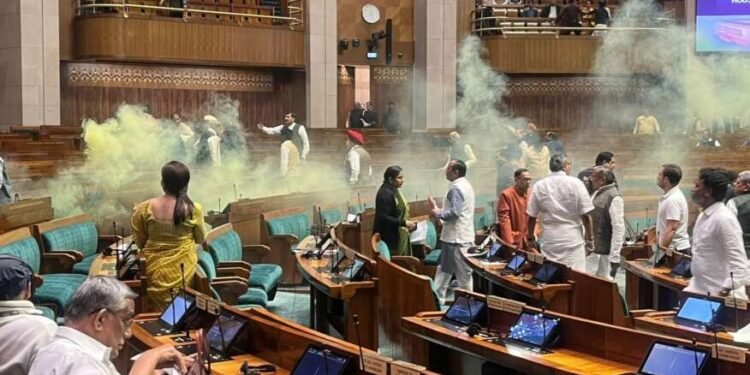 नवीन संसद भवनातील गॅलरी रचनेत त्रुटी? सहा फुटांचे अंतर अपुरे असल्याचा दावा, सुरक्षारक्षकांचाही अभाव