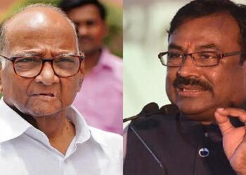 शरद पवारांनी पत्रकार परिषद घेऊन सोबत असलेल्या आमदारांची नावं सांगावीत; सुधीर मुनगंटीवारांचं आव्हान