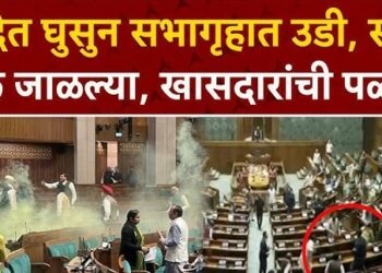 तरूण स्मोकिंग कँडल घेऊन घुसला, संसदेत राडा….