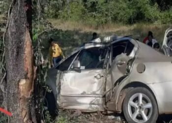 न्यू इयर सेलिब्रेशननंतर घरी परताना नियतीनं डाव साधला, गाडीची झाडाला धडक, युवतीचा मृत्यू तर…