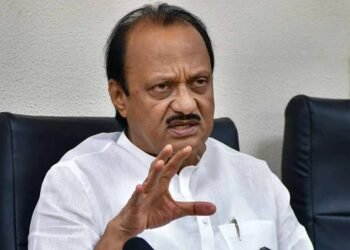 मूर्खांनी व्हिडिओ व्हायरल केला, पण आम्ही रुबाब दाखवणारे नव्हे तर सामावून घेणारे; अजितदादांचं स्पष्टीकरण