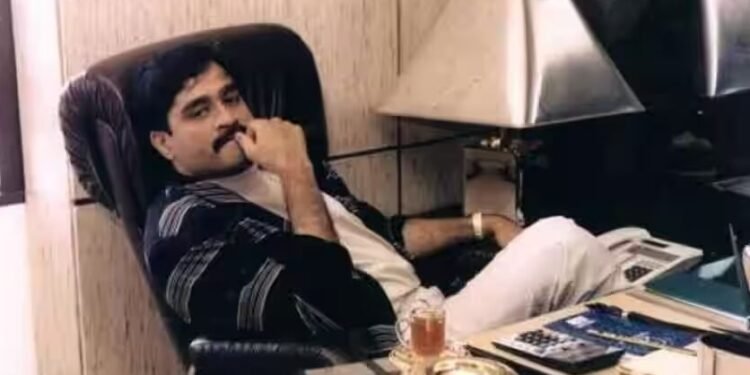 अंडरवर्ल्ड डॉन दाऊदच्या आईच्या मालमत्तेचा होणार लिलाव, रत्नागिरीतील चार शेतजमिनींसाठी बोली