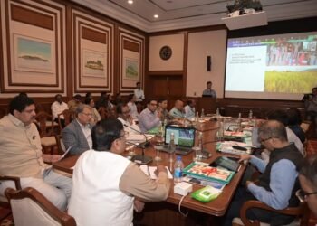 वनामृत होणार आता वन विभागाचा ब्रॅण्ड : मुनगंटीवार